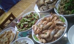 淄博美食博主吃瓜爆料,博主吃瓜爆料，独家美食攻略来袭！